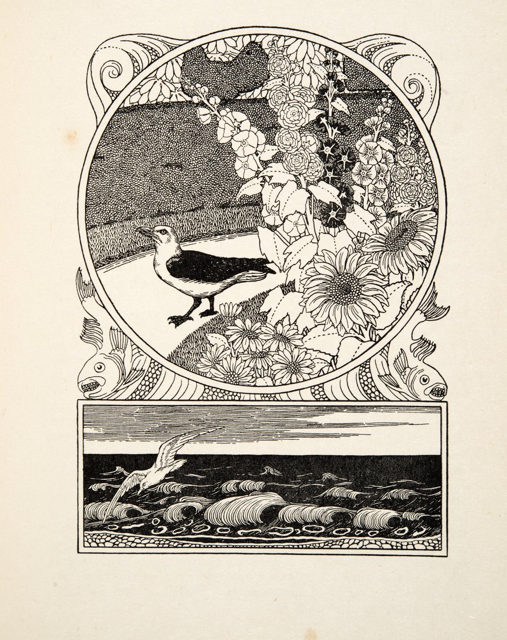 Hayvanların Yüz Anekdotundan Uysal Martı, pub. 1924 (gravür) by Percy J. Billingshurst