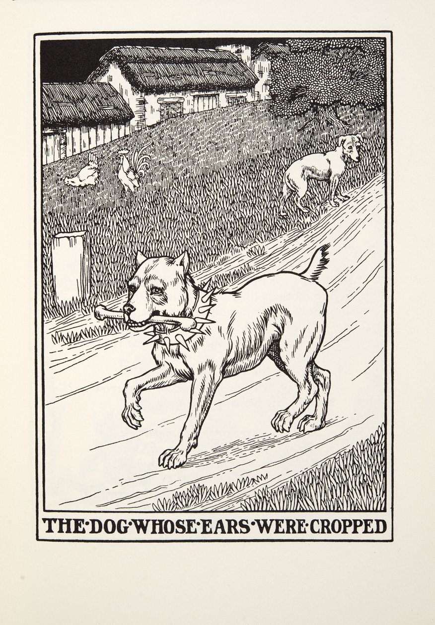 Kulakları Kesilen Köpek, Fontaine Fables, pub