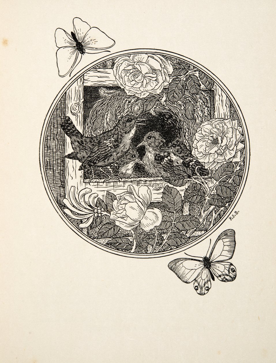 Wrens Şarkı Söylemeyi Öğreniyor, Hayvanların Yüz Anekdotundan, pub. 1924 by Percy J. Billingshurst
