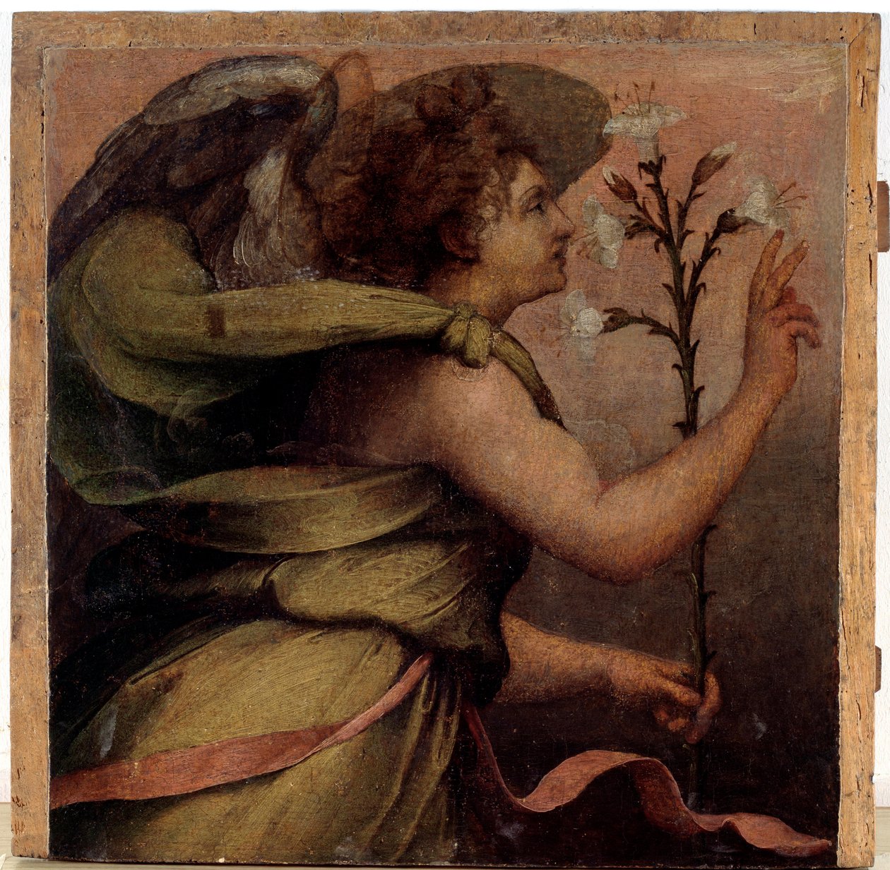 Müjde Meleği, detay (tahta üzerine yağlı boya, c.1535) by Perino del Vaga