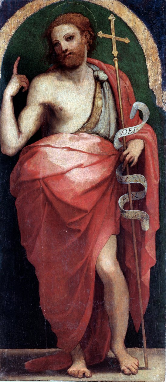 St John Baptist, Yan Panel (ahşap üzerine yağlı boya, c.1535) by Perino del Vaga