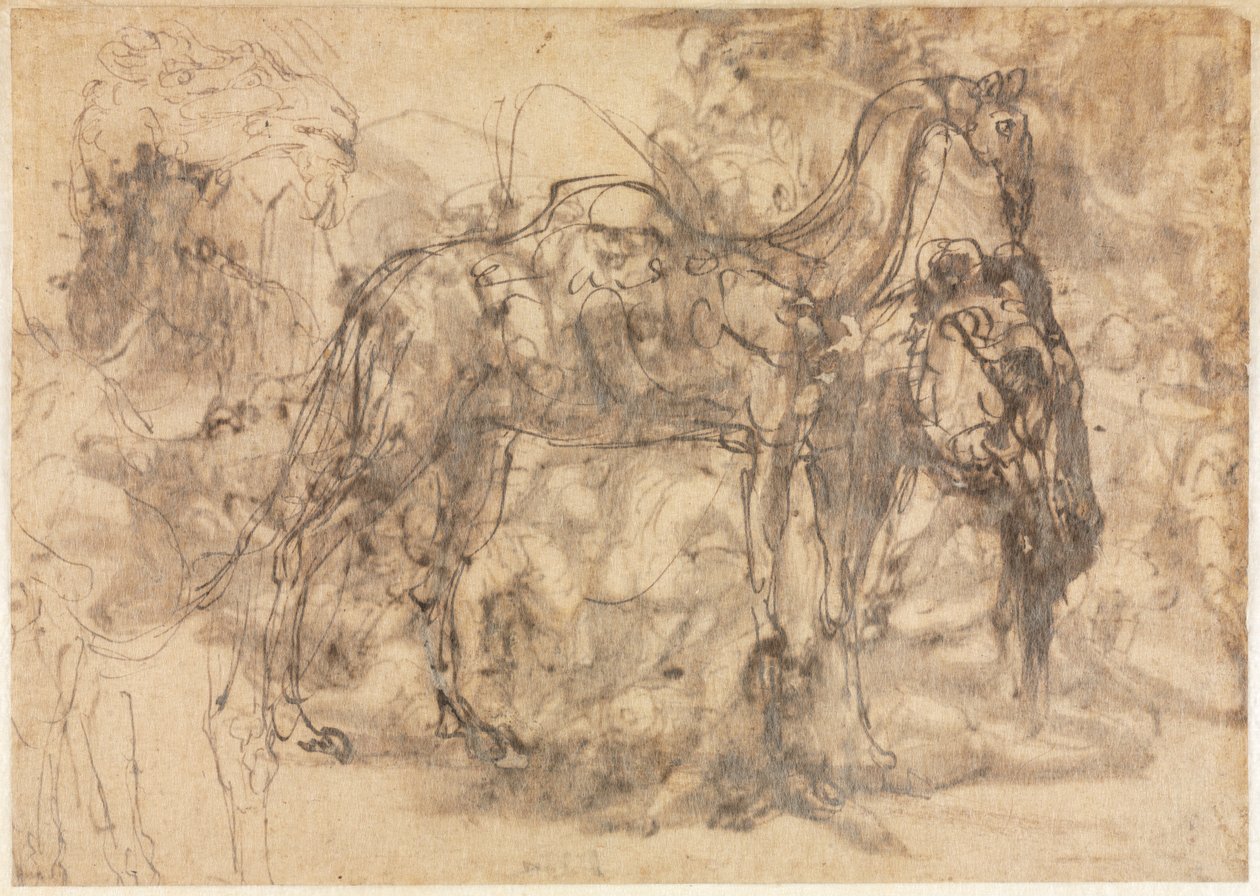 Hayvan Eskizleri verso, c. 154547. by Perino del Vaga