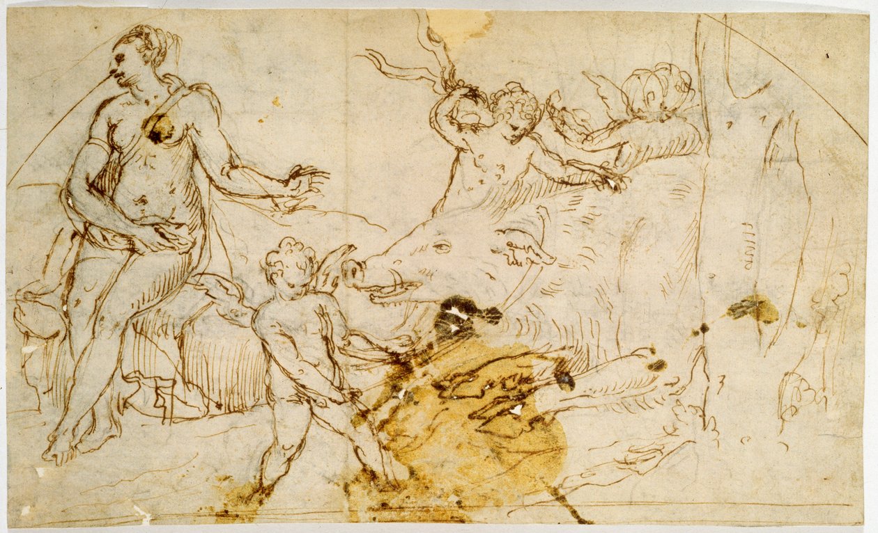 Venüs, putti ve yaban domuzu, c.1520-1540 by Perino del Vaga