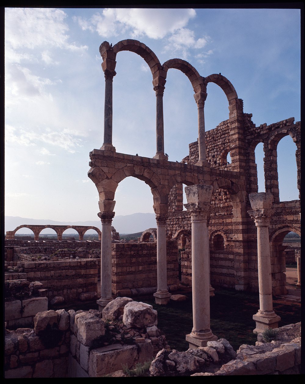 Şehir manzarası, MS 705-710 by Period Umayyad