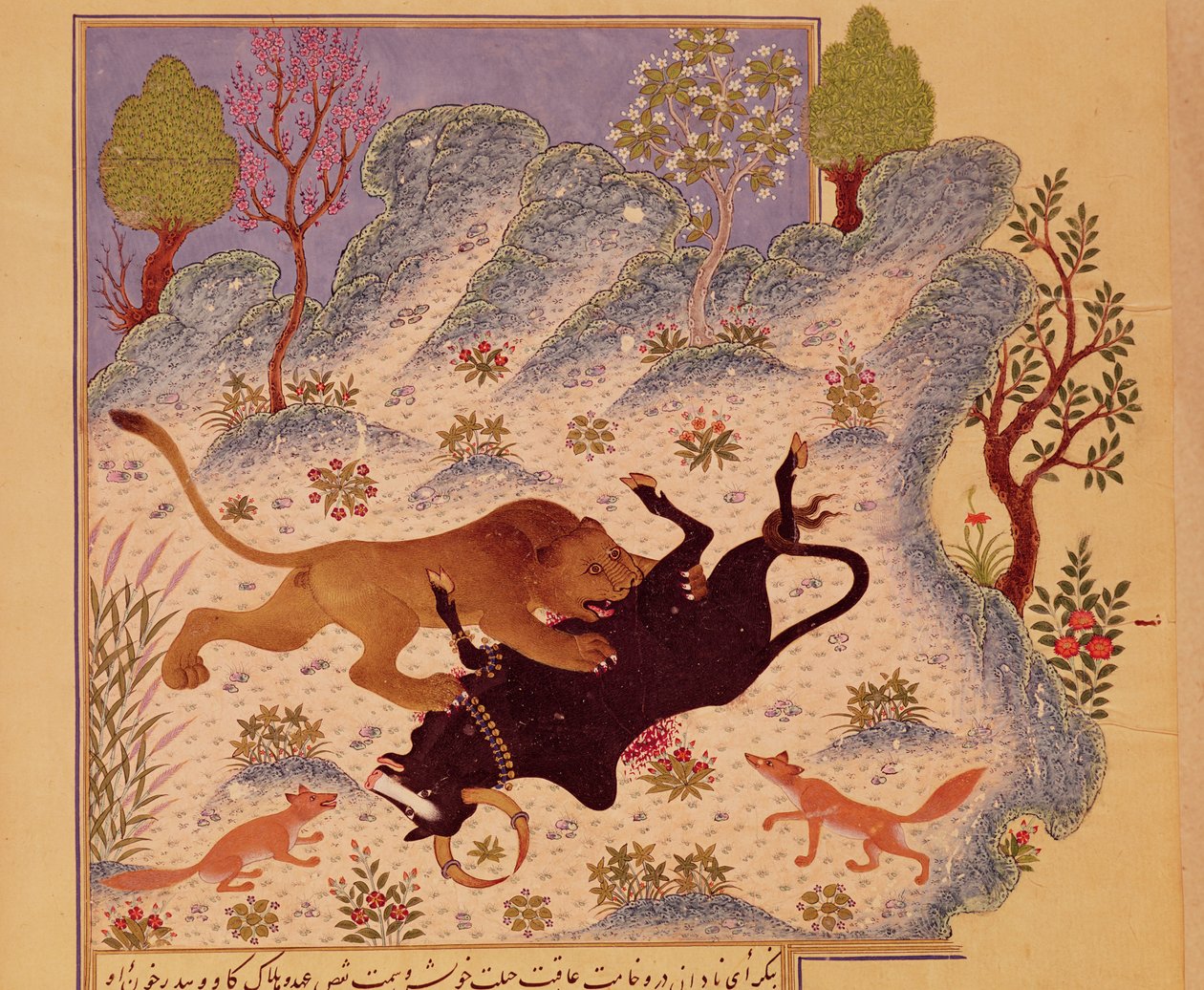 Bir Kabila ve Dimne el yazmasından Boğaya Saldıran ve Öldüren Aslan (kağıt üzerine guaj) by Persian School