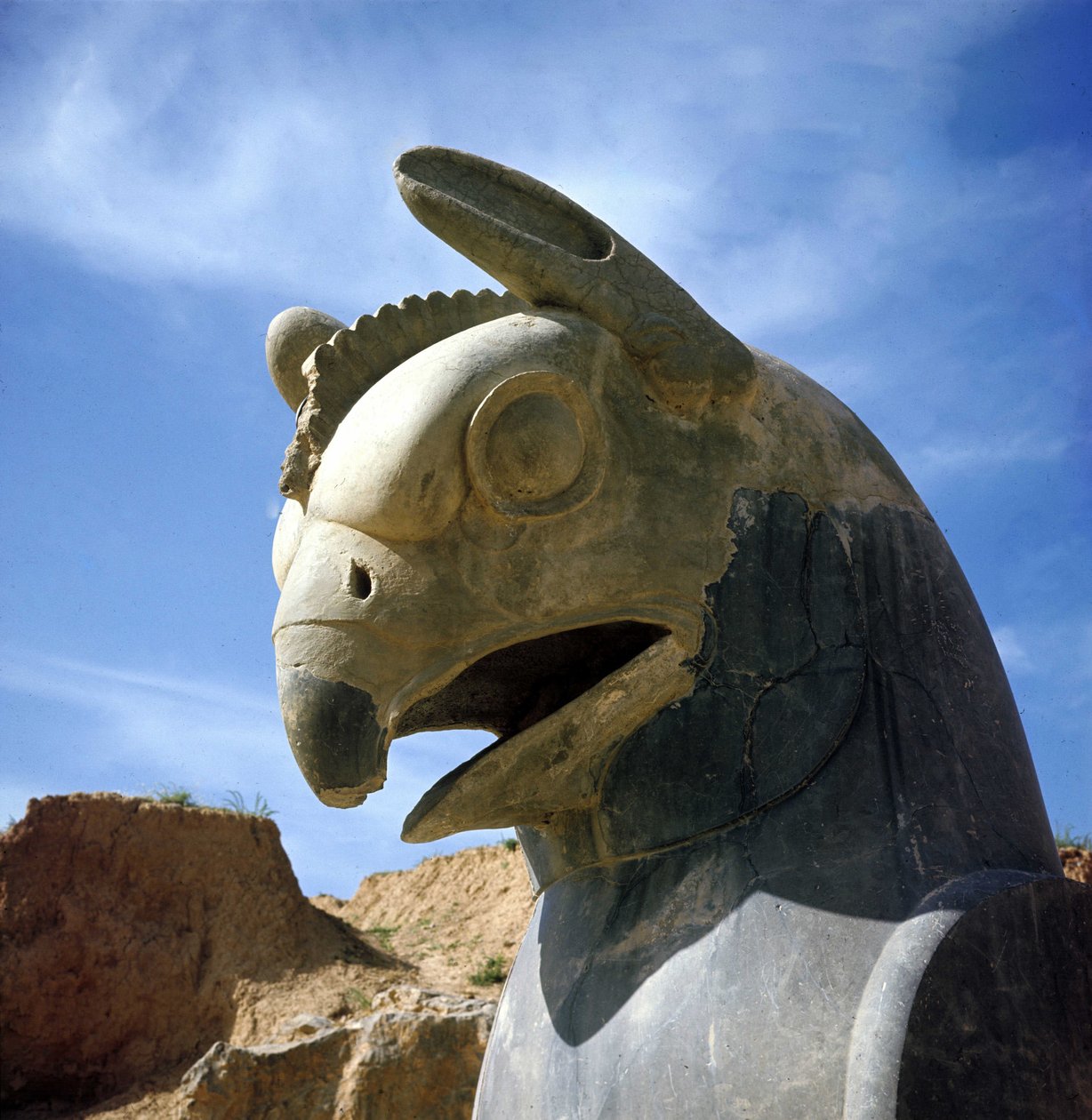 Bir grifon, efsanevi yaratık yarı kartal, yarı aslan. Apadana Sütunu, büyük mahkeme salonu, bu başkentlerle örtülü, Darius I sarayı, Persepolis, İran. by Persian School