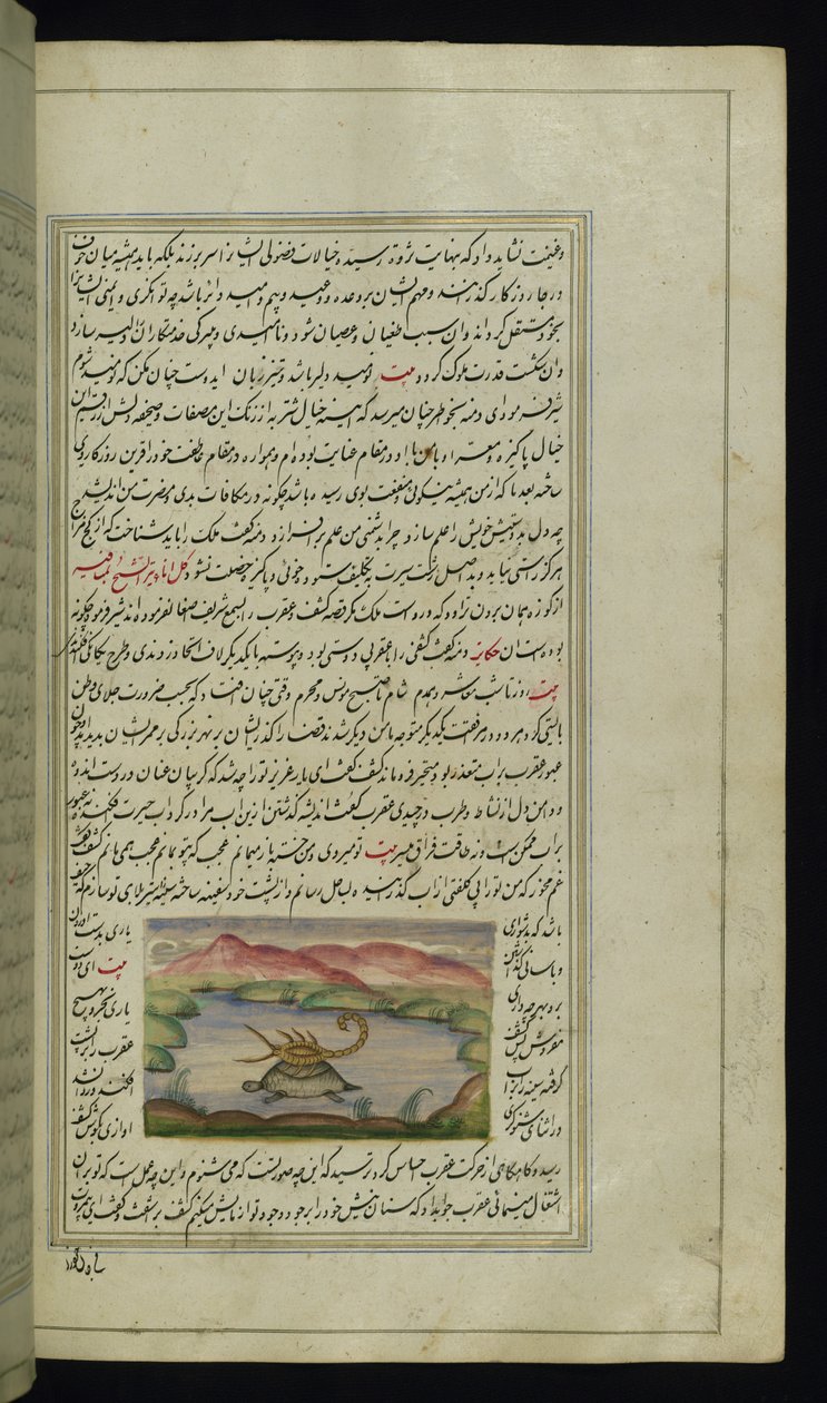 Bir kaplumbağa, Lights of Canopus