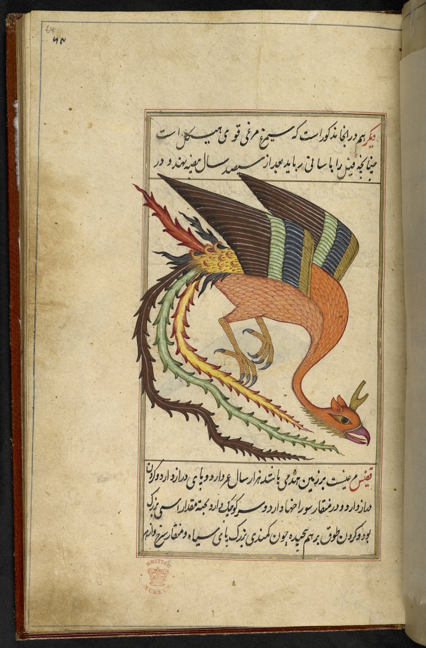 MS 15241 f.64r