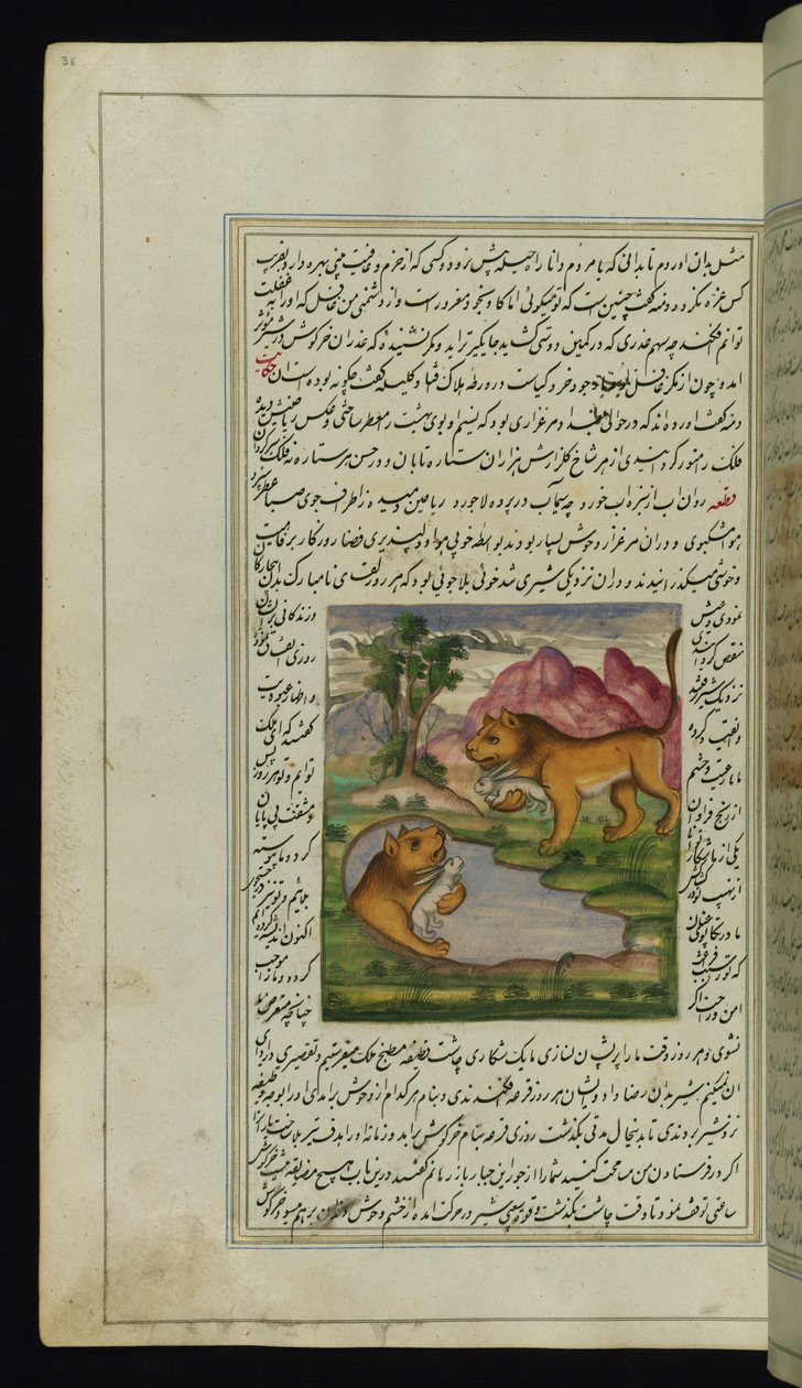 Bir tavşan tarafından kandırılan kötü bir aslan, bir kuyuya bakar ve Canopus