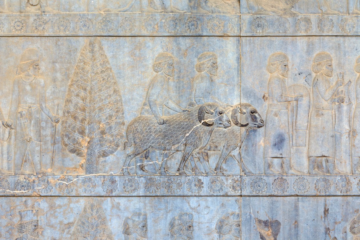 Apadana sarayı ve merdiven duvarlarındaki alçak kabartmalar, Persepolis, İran (kumtaşı) by Persian School