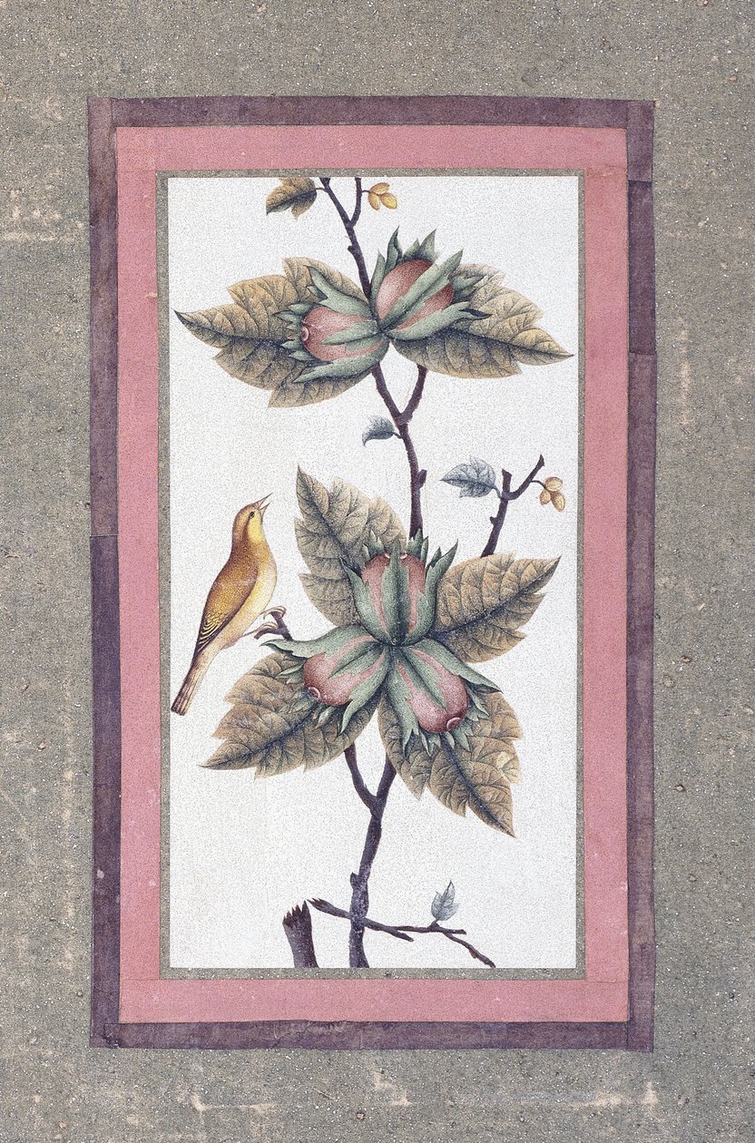 Kuş ve Çiçek Çalışması, c.1780 by Persian School