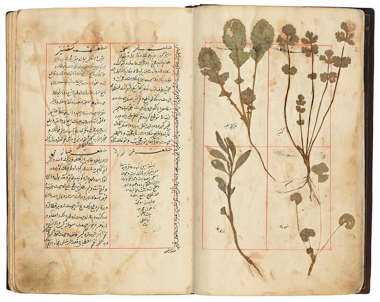 Hassan Bin Baqir Bin Jarrah: Ghalzar Al-Raihain, Qajar Iran by Persian School