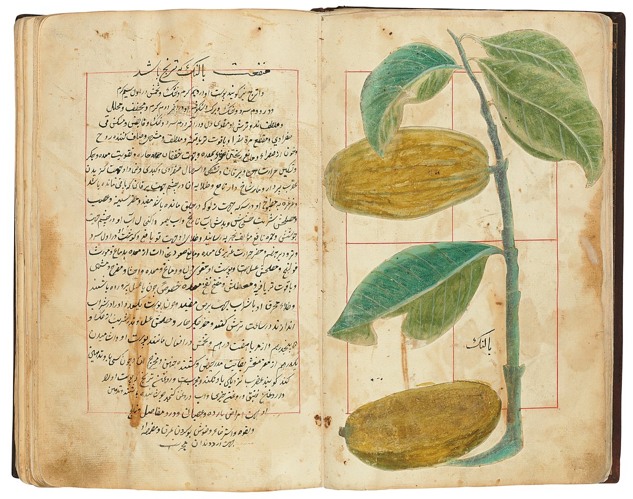 Hassan Bin Baqir Bin Jarrah: Ghalzar Al-Raihain, Qajar Iran by Persian School
