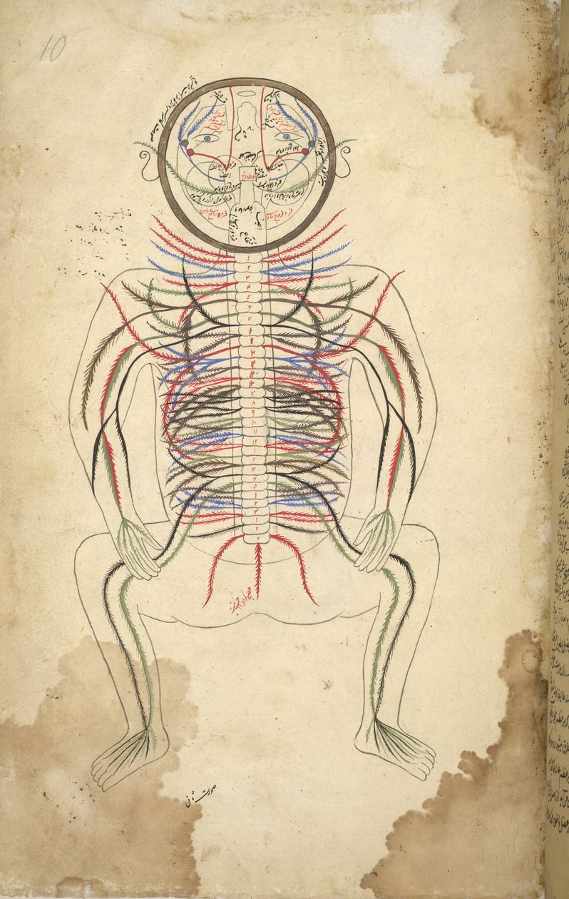 E.A. Your Islam 1379, F.10, İnsan Yetmişi, Oshra