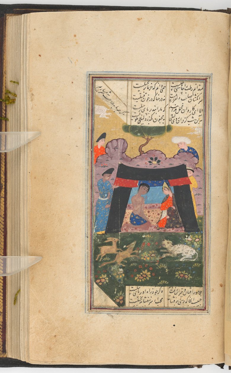 Bir Çadırda Leyla ve Mecnun (resim recto; metin 205 yapraktan ters), Sa