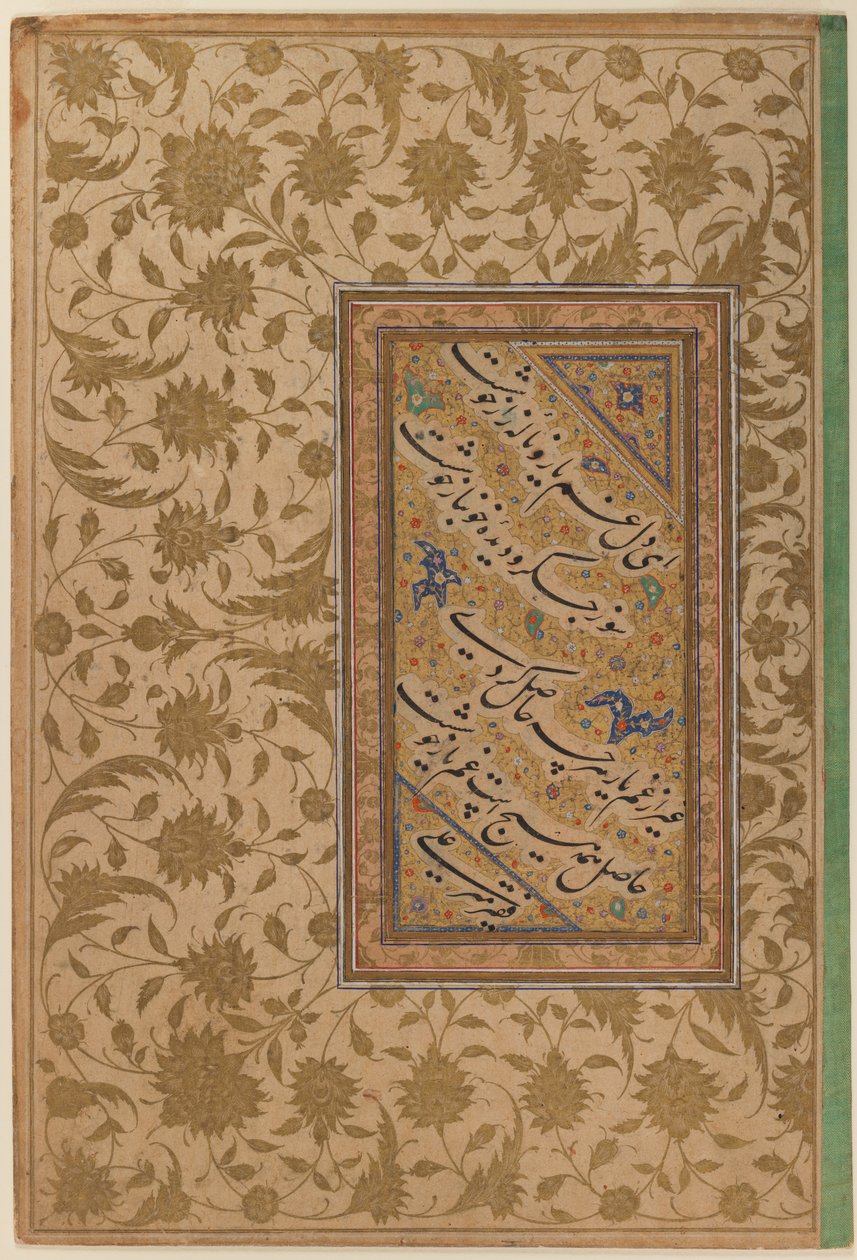 Mir Ali