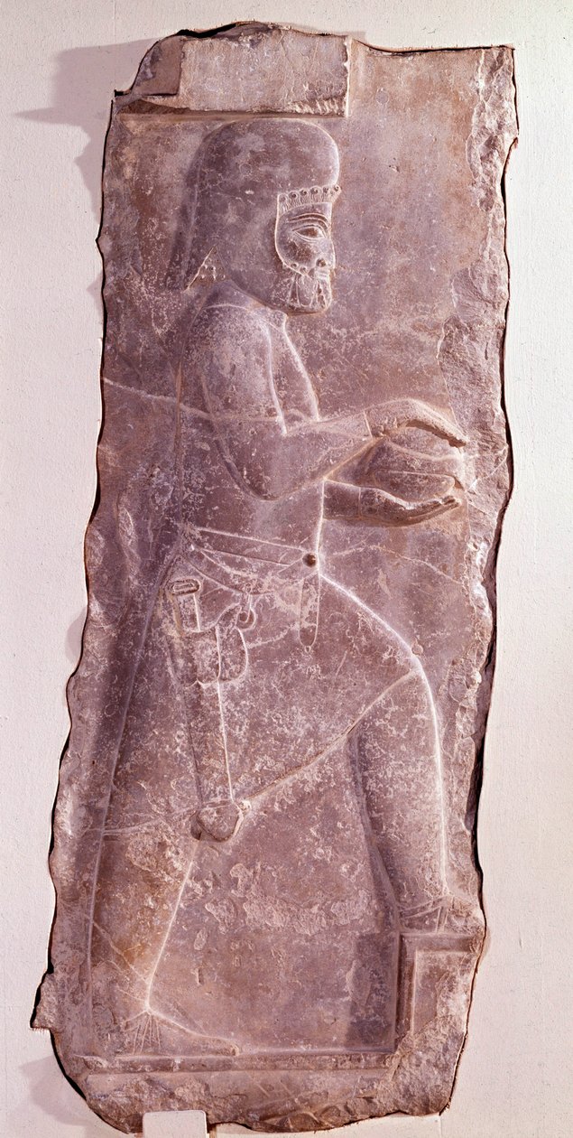 Bir Med hizmetçisini (İran halkı) temsil eden taş kabartma. Routeenid dönemi. Pers kralı Darius I (MÖ 550-486) Sarayı