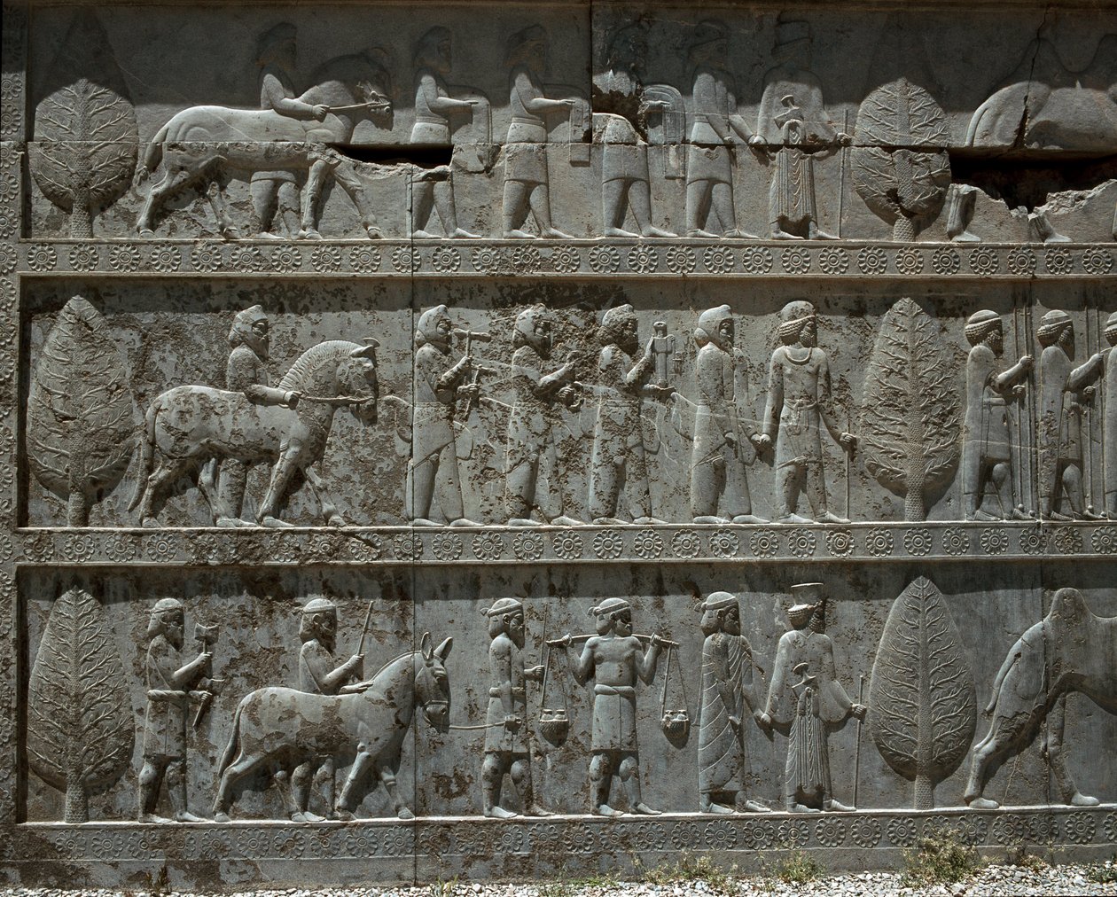 İtaatkar halklar Darius I