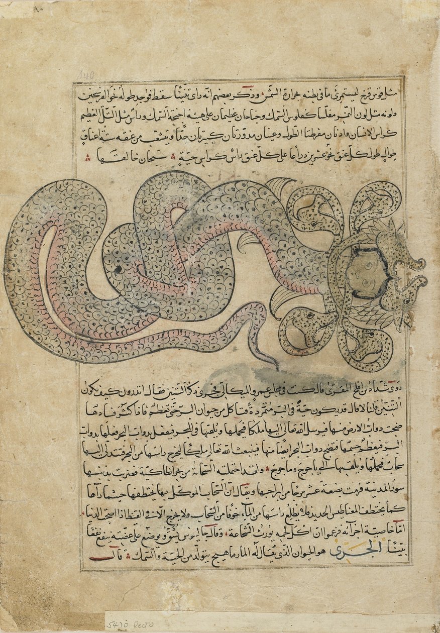 Deniz-Yılan Ejderhası (el-Tannin), el-Qazvini, Irak veya Doğu Türkiye