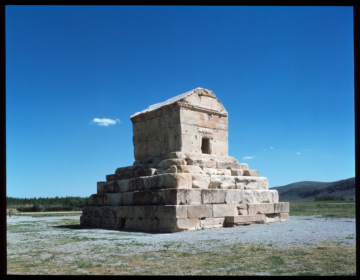 Cyrus