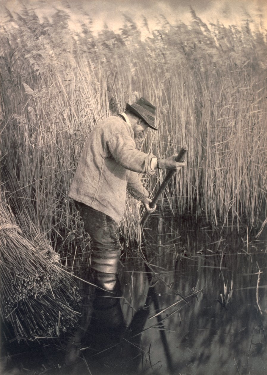 Norfolk Broads