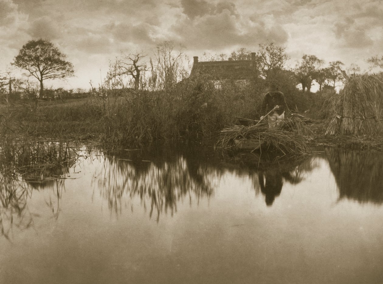 ಗ್ಲ್ಯಾಡನ್, c.1886 ಟರ್ಕ್ ಅನ್ನು ಒಟ್ಟುಗೂಡಿಸಲಾಗುತ್ತಿದೆ by Peter Emerson und Thomas Goodall