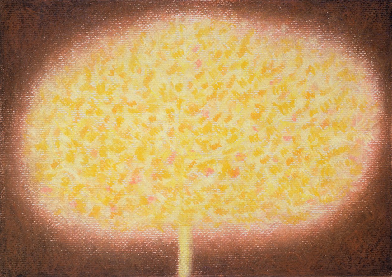 (tuval üzerine yağlı pastel) by Peter Davidson