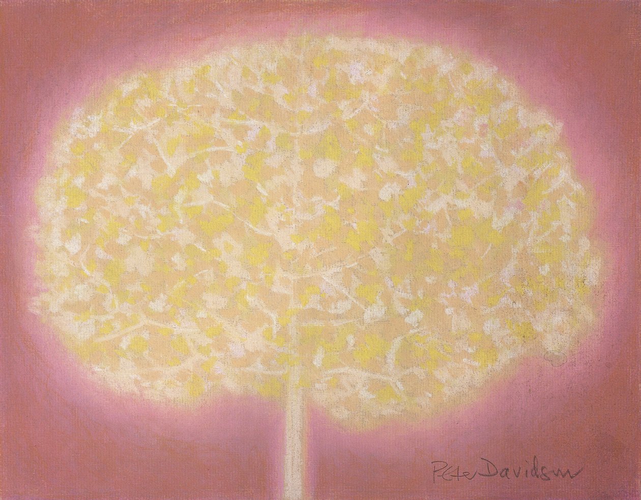 (tuval üzerine yağlı pastel) by Peter Davidson