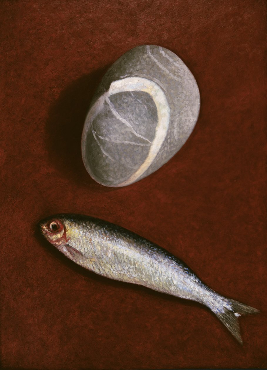 Balık ve Kaya Formu, 1997 by Peter Davidson