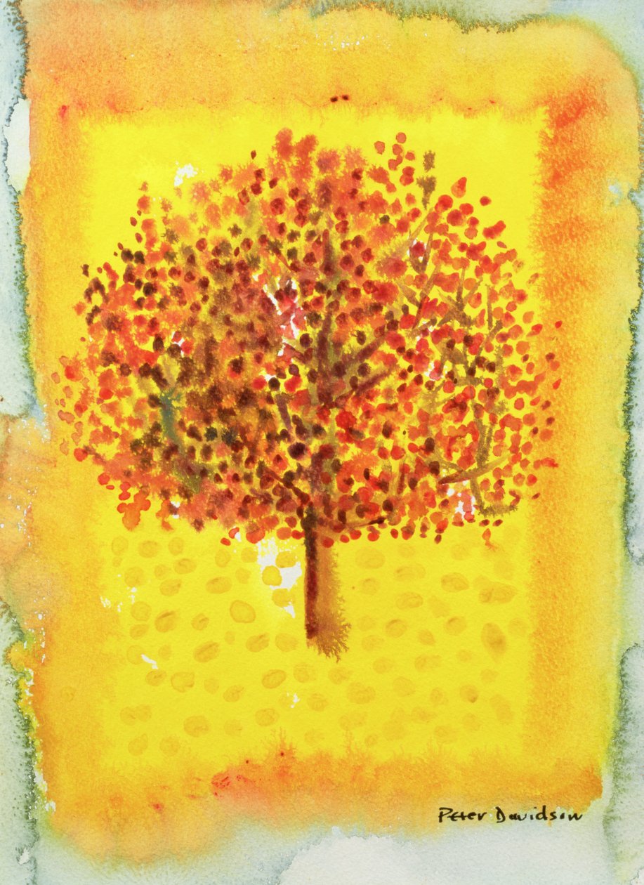Meyveli Ağaç, 1996 (wc) by Peter Davidson