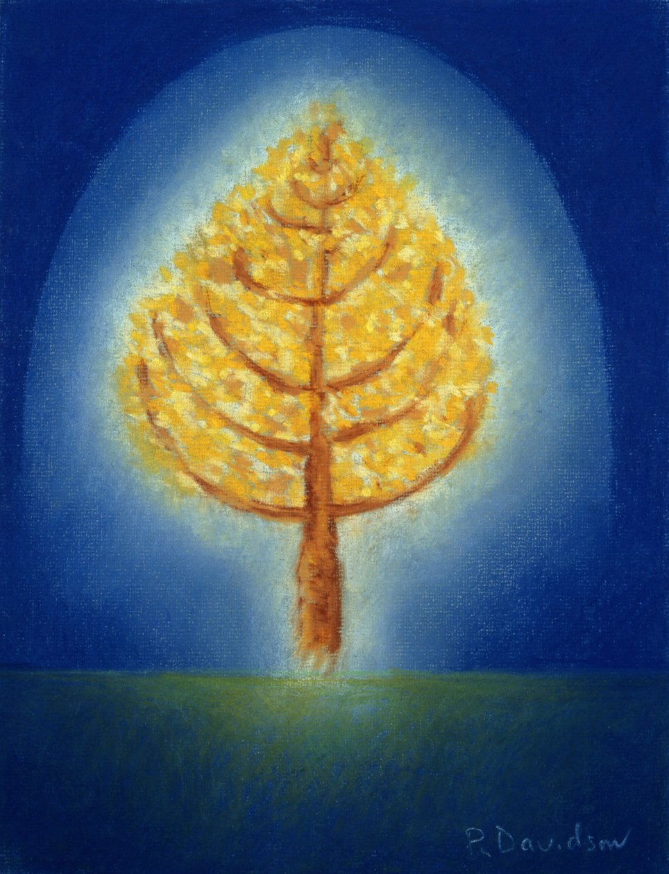 Parlayan Ağaç, 1996 (pastel) by Peter Davidson