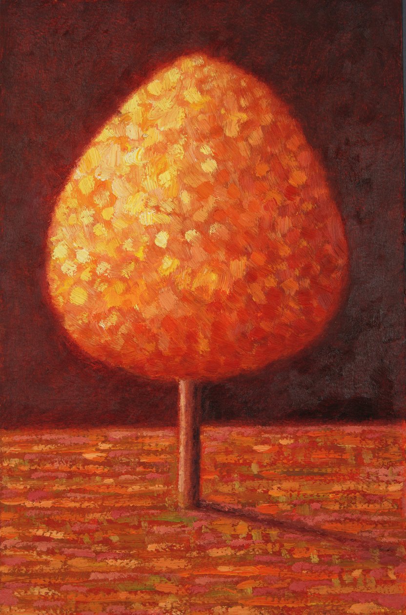 Güneşte Sırılsıklam Ağaç, 1996 by Peter Davidson