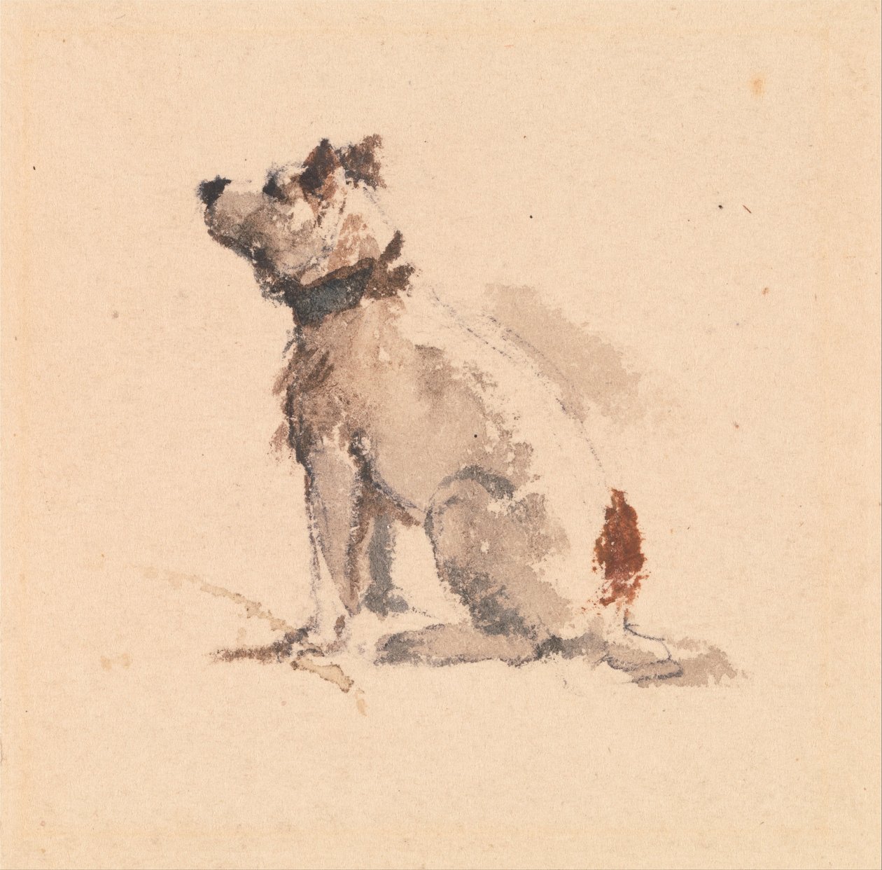 Bir Terrier, Yüzü Sola Bakmış Oturuyor by Peter de Wint