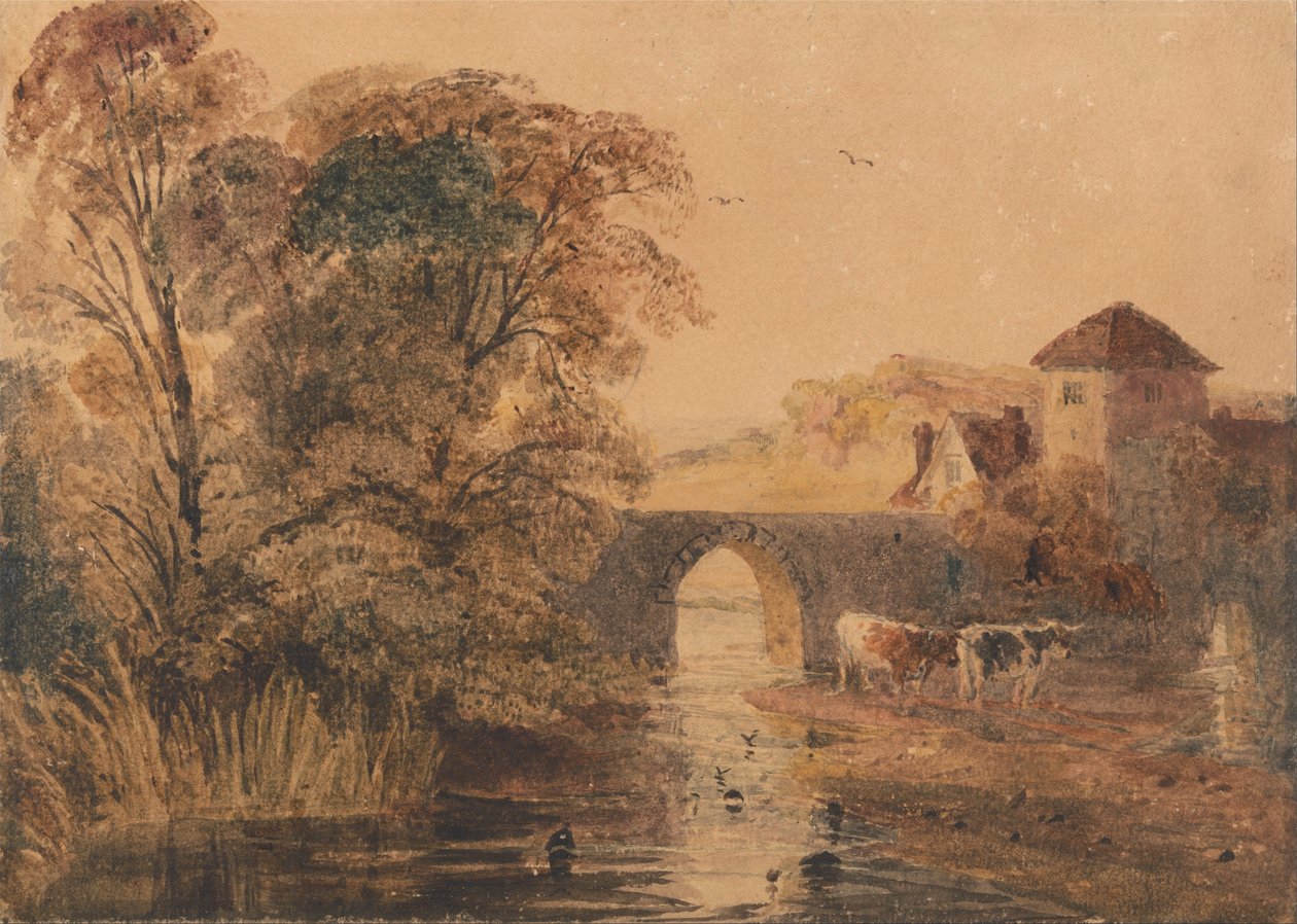 Norwich