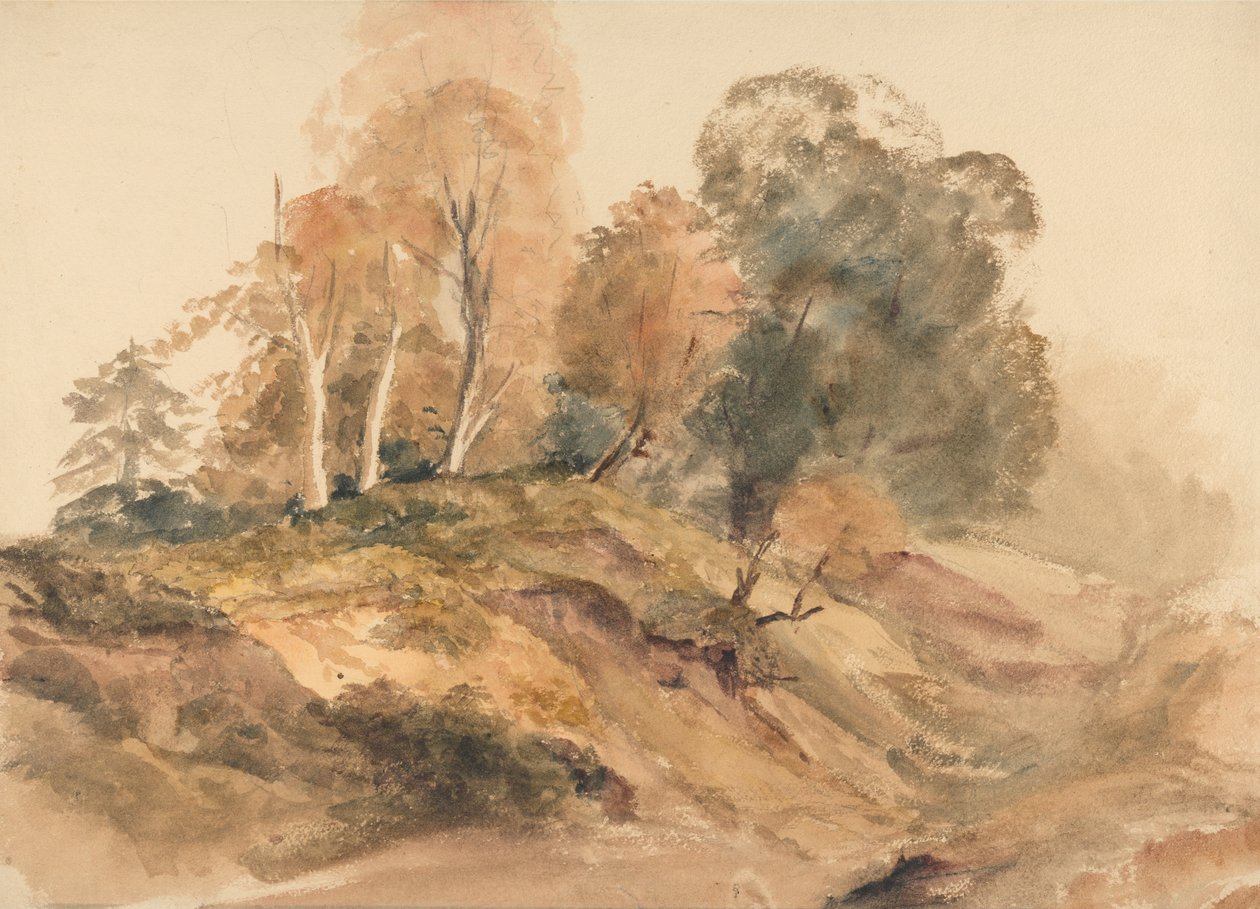 Bankadaki Ağaçlar by Peter de Wint