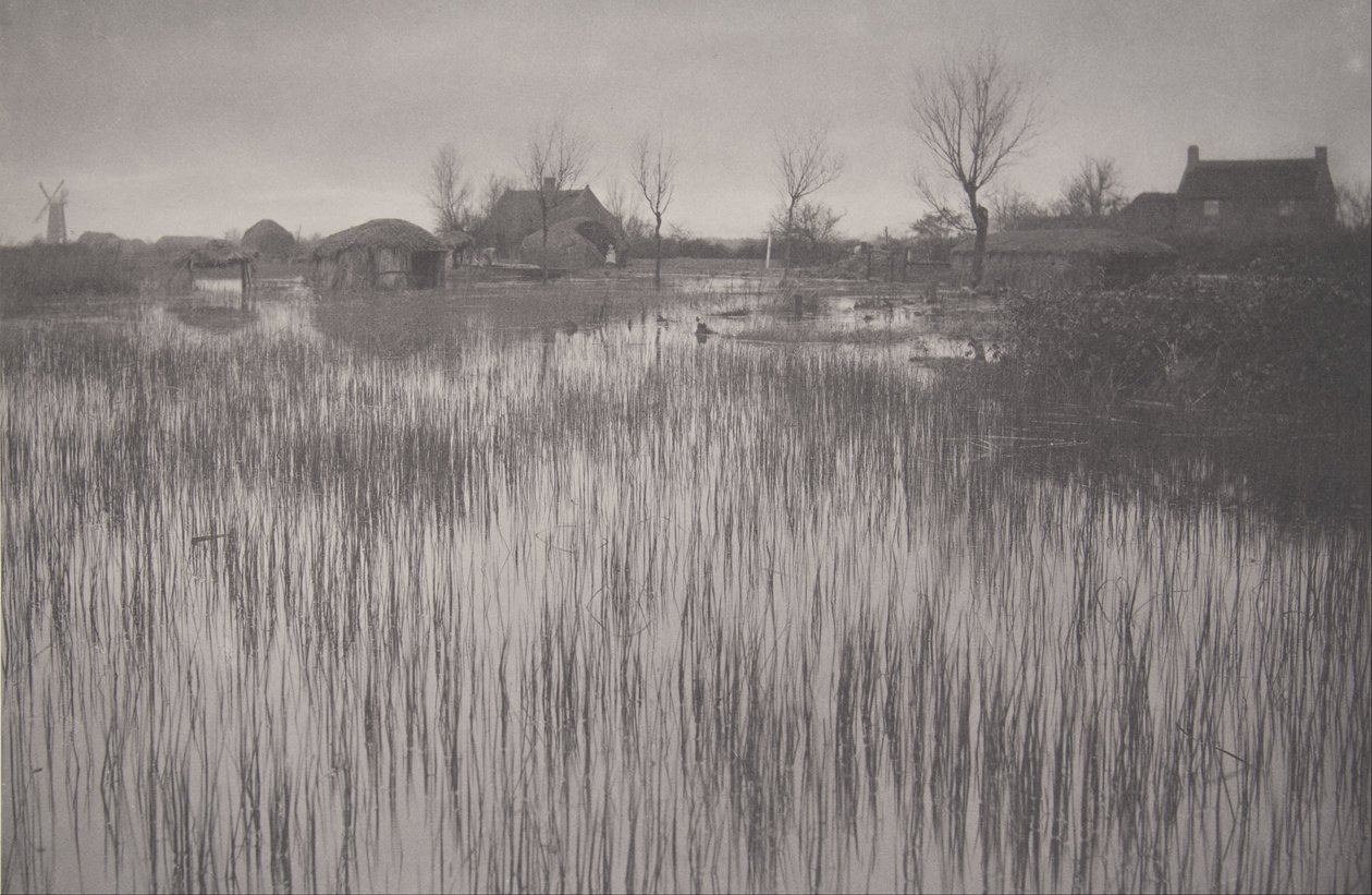 A Rushy Shore, Norfolk Broads