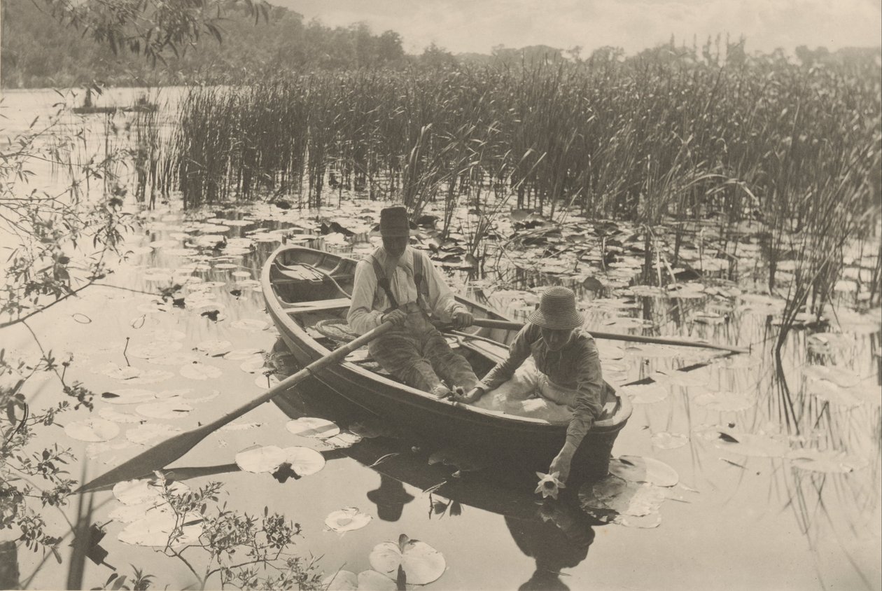 Nilüfer Toplama by Peter Henry Emerson