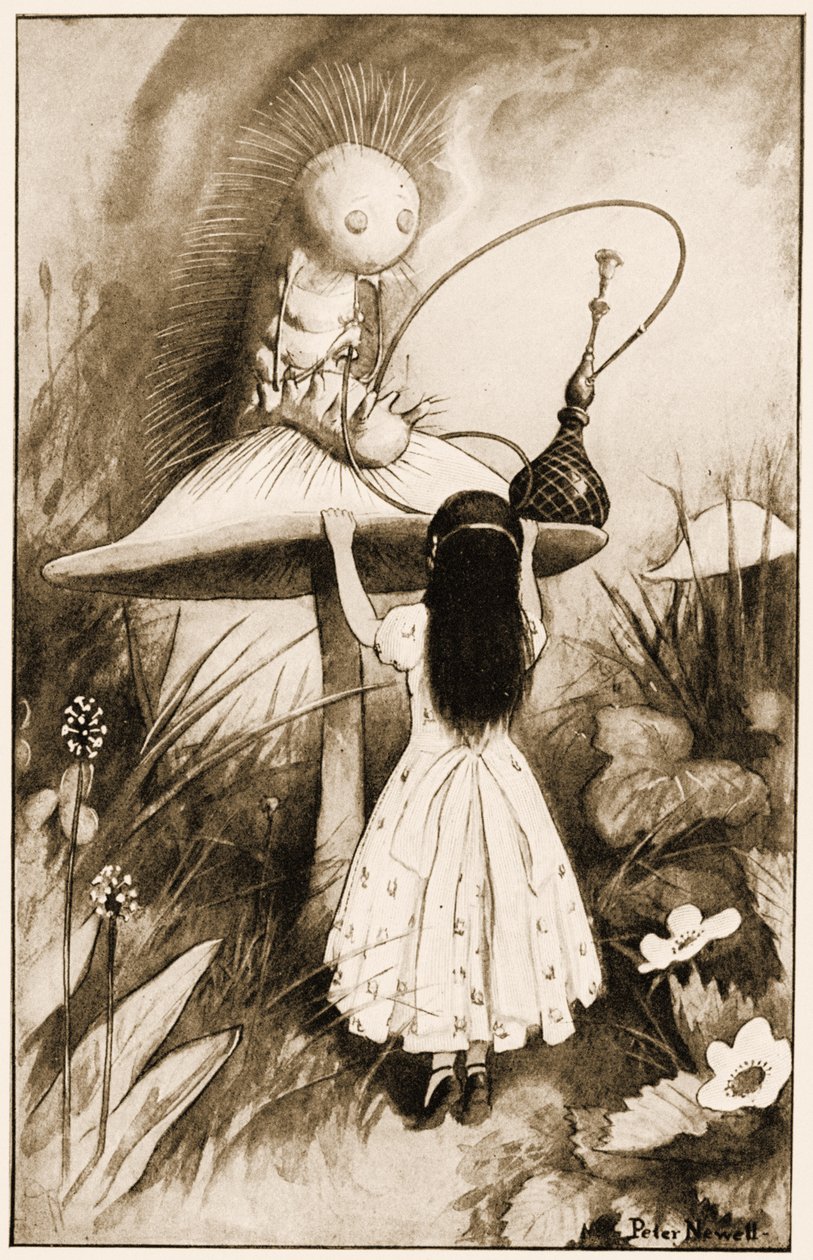 Tırtıl ve Alice birbirlerine baktılar, Lewis Carrolls Alice Harikalar Diyarında için bir illüstrasyon, 1901 by Peter Newell