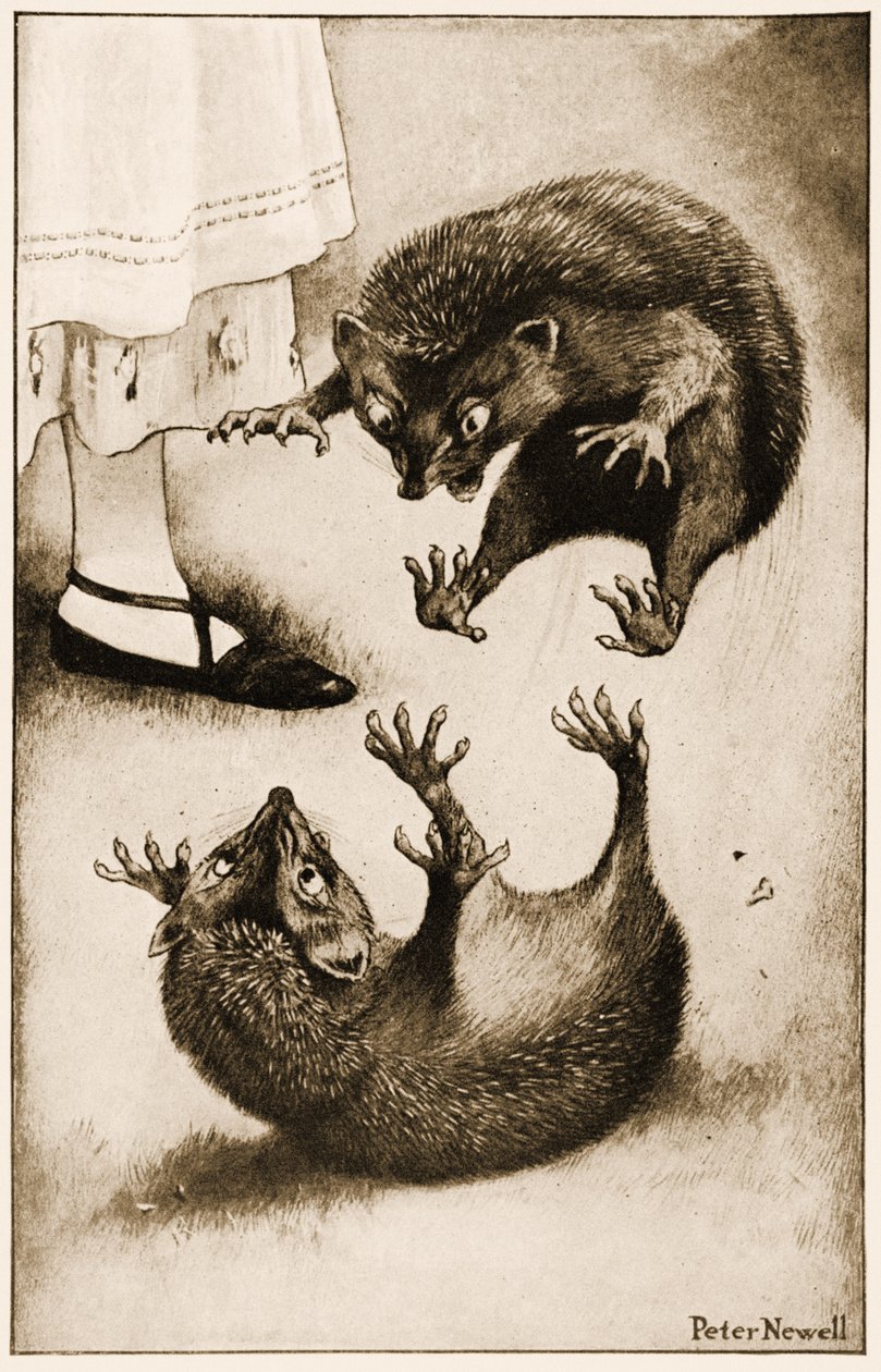 "Kirpi başka bir Kirpi ile kavga ediyordu", Lewis Carroll'un Alice Harikalar Diyarında Maceraları için çizim, 1901 by Peter Newell