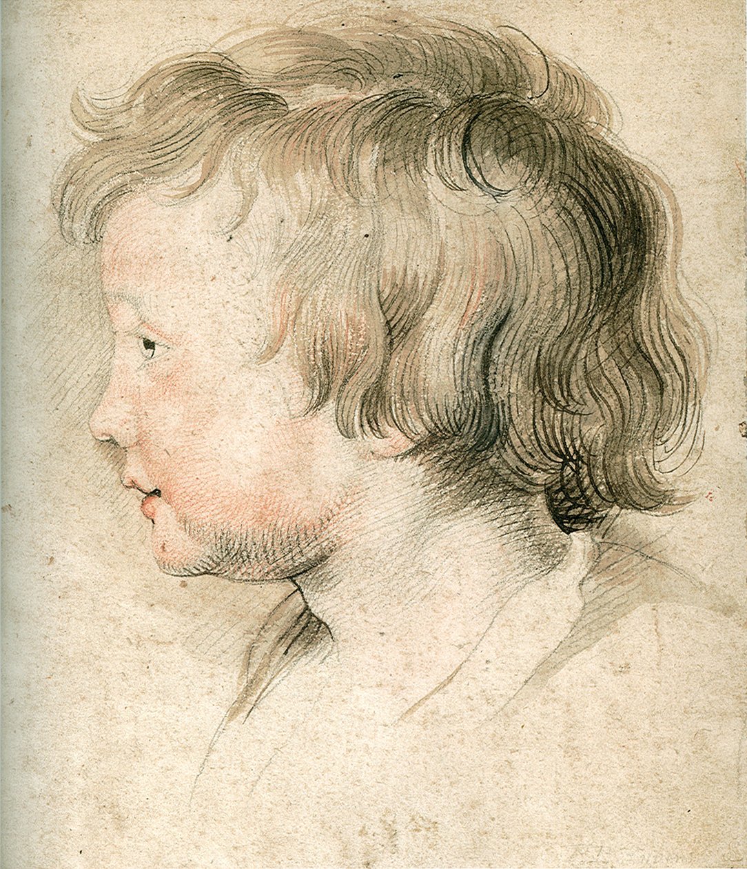 Albert Rubens by Peter Paul Rubens