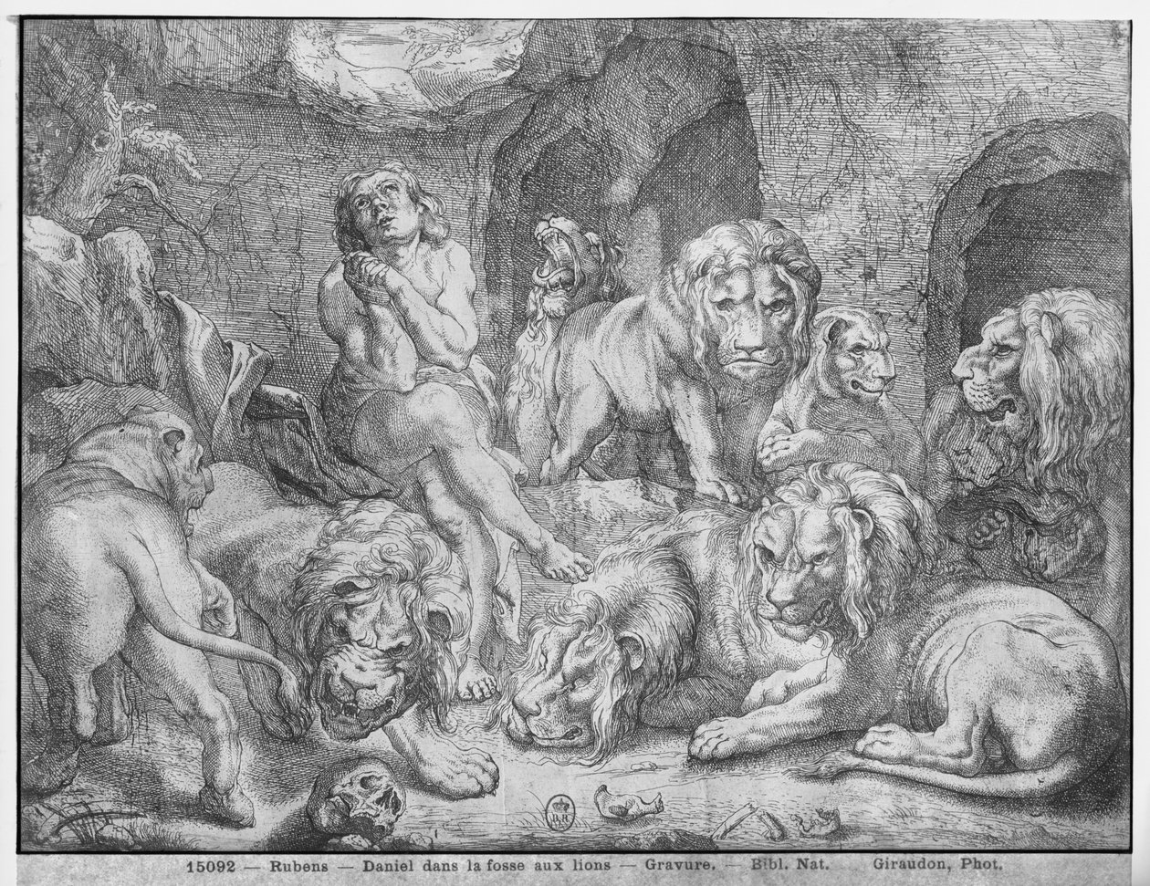 Daniel aslanların ininde by Peter Paul Rubens