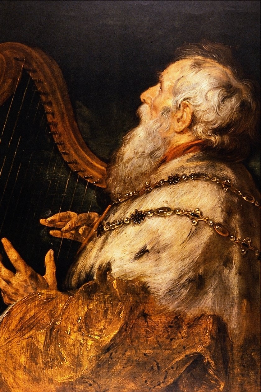 kral David by Peter Paul Rubens