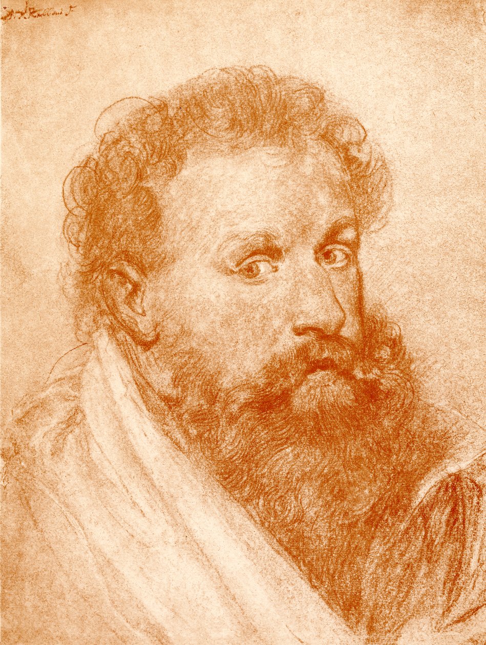 Bir yabancının portresi by Peter Paul Rubens