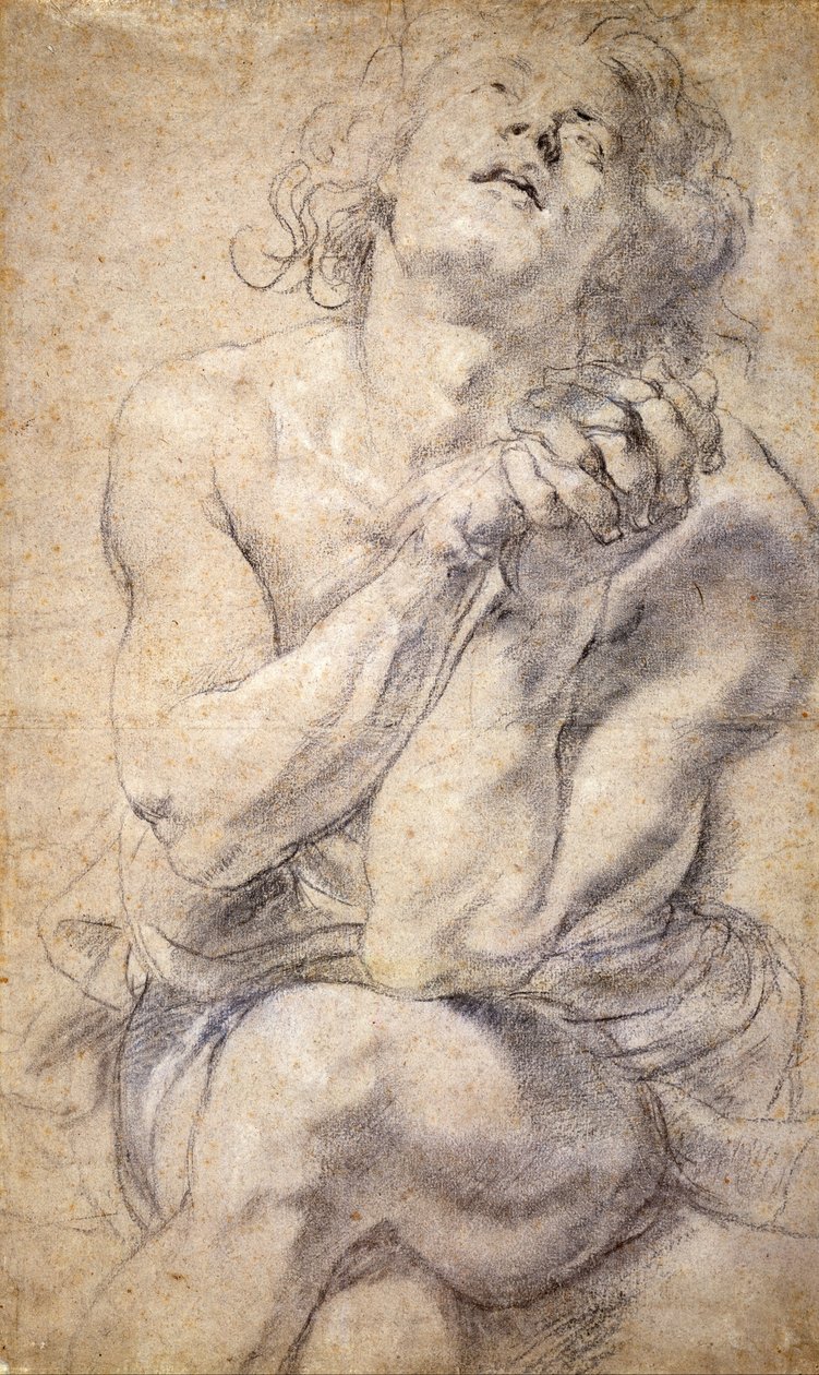 Oturan Erkek Genç (Daniel için Çalışma) by Peter Paul Rubens