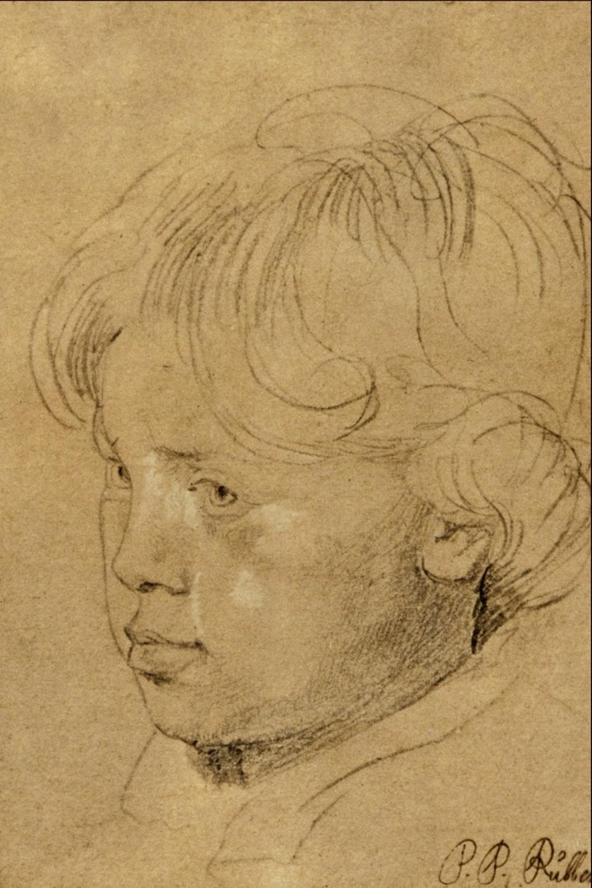 Sanatçının Oğlu by Peter Paul Rubens