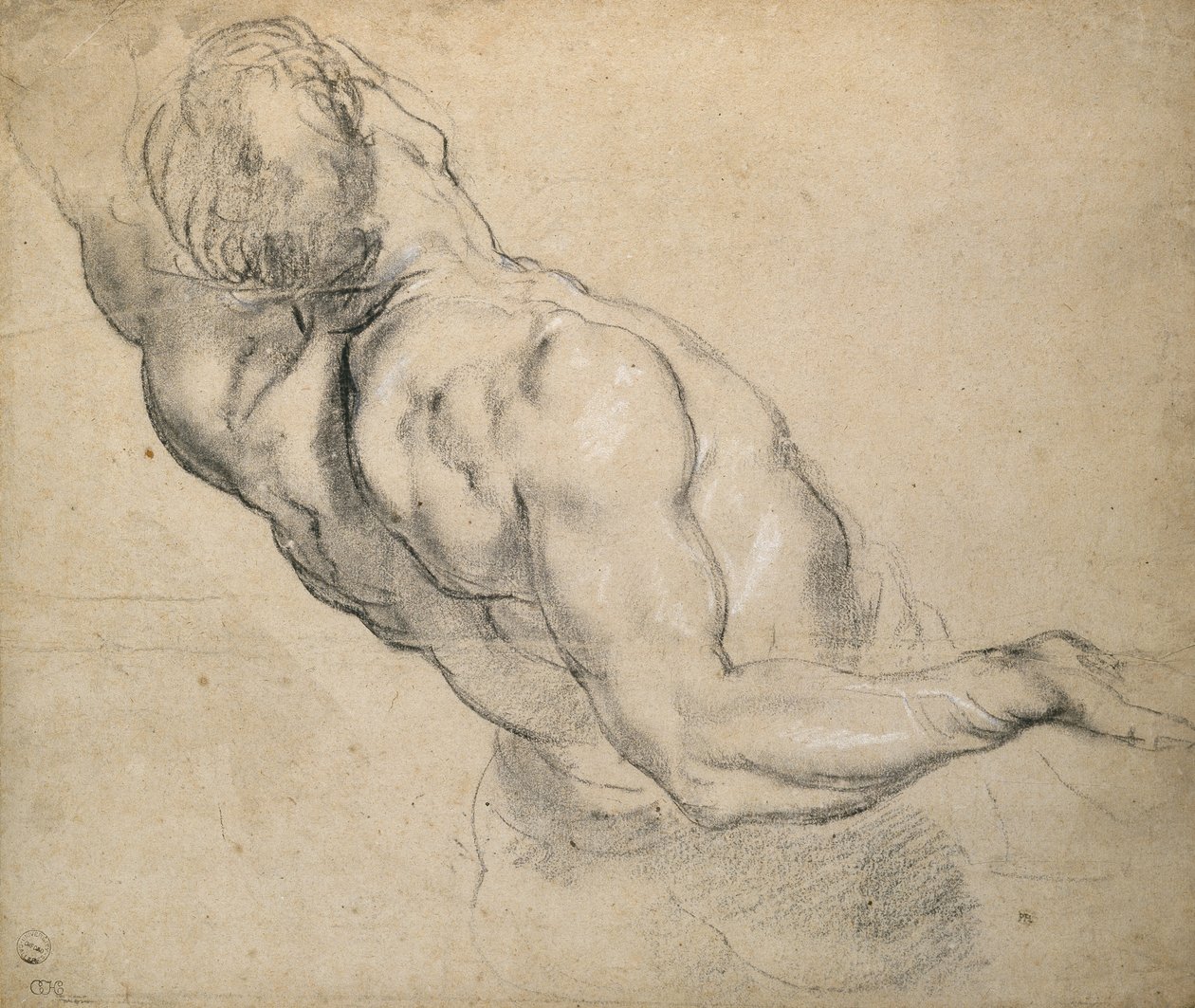 Çıplak bir erkek Gövde çalışması by Peter Paul Rubens