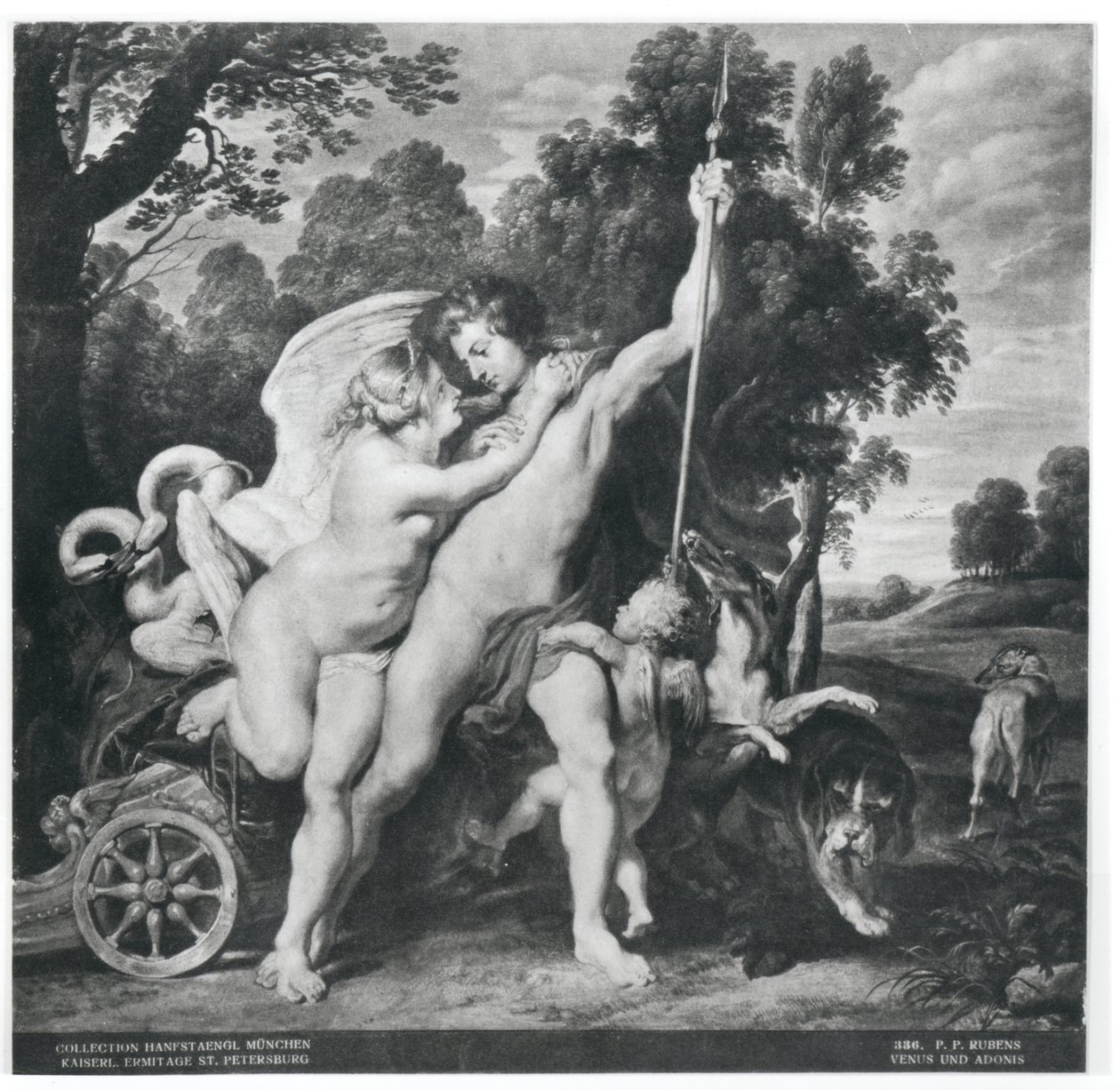 Venüs ve Adonis by Peter Paul Rubens