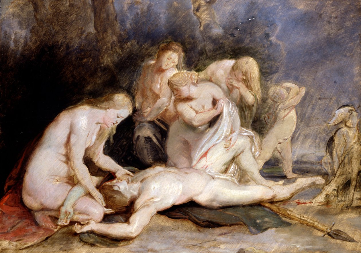 Venüs yas Adonis by Peter Paul Rubens