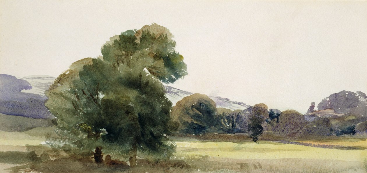 Bir Tarladaki Ağaçlar by Peter de Wint