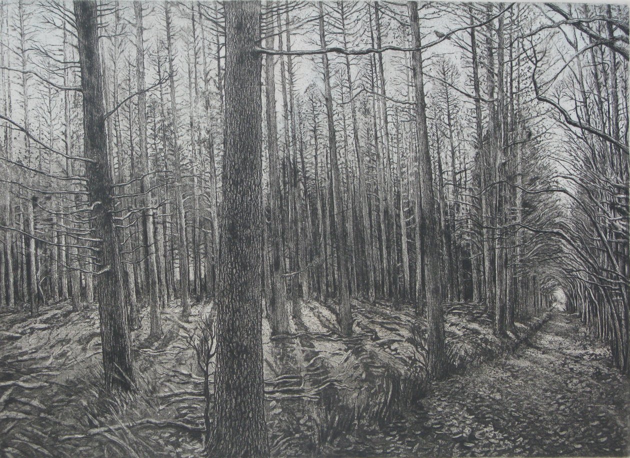  by Peter A Ford
